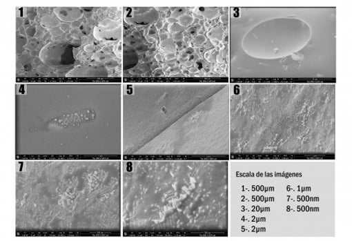 Lava del volcán de Cumbre Vieja bajo el microscopio