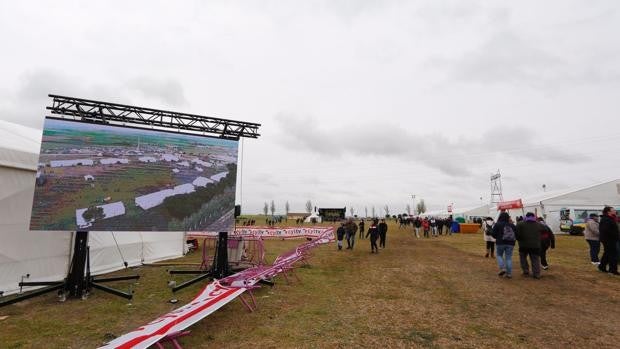 El frío y el viento reduce la asistencia a la Campa