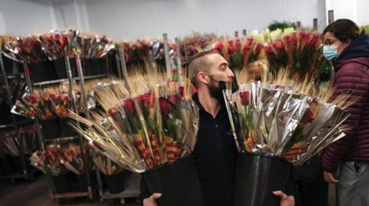 Un florista transporta varias decenas de rosas este jueves en Mercabarna-Flor