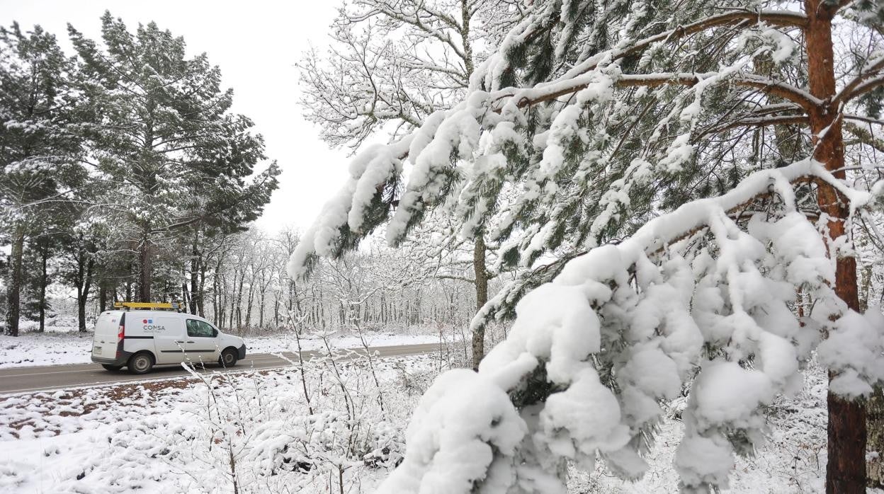 Nieve en la provincia de Salamanca estos días