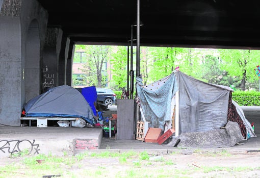 Varias chabolas instaladas bajo el puente de Vallecas