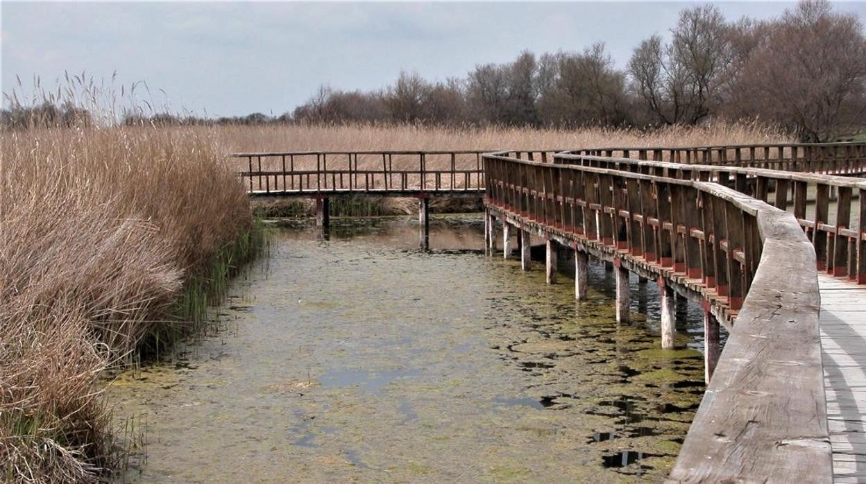 Aprueban un trasvase de 3 hectómetros cúbicos del Tajo hasta las Tablas de Daimiel