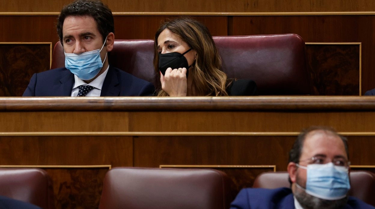 Teodoro García Egea, en su escaño del Congreso de los Diputados