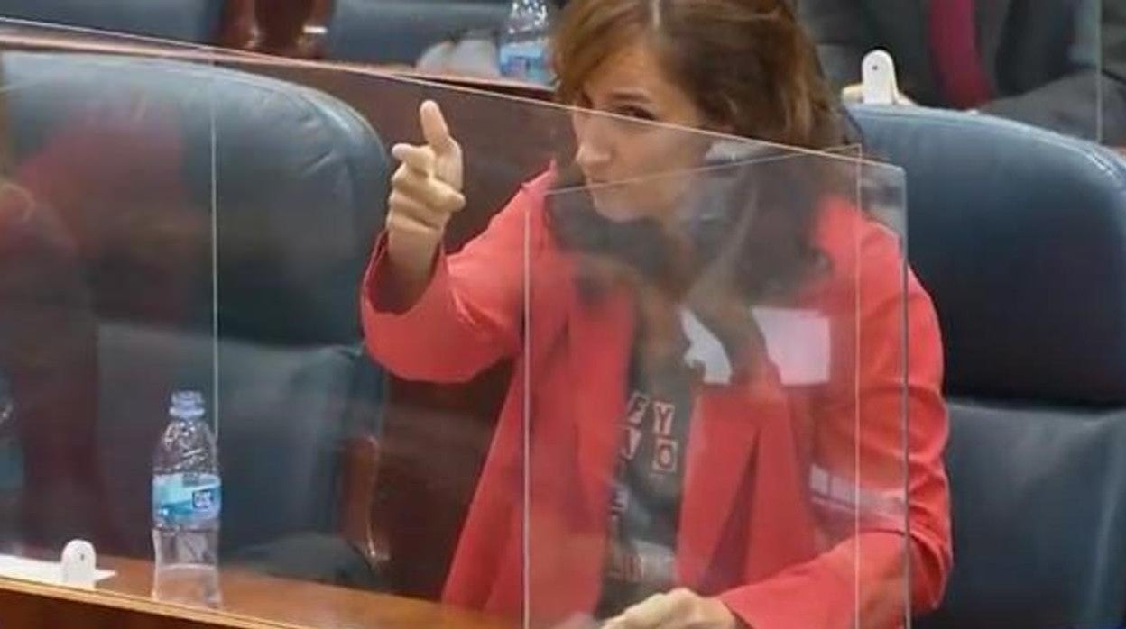 La portavoz de Más Madrid en la Asamblea regional, Mónica García