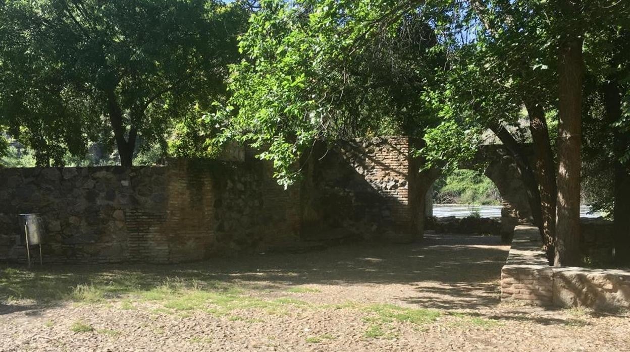 Hasta hace unos días esta zona del río era la casa de Miguel y sus perros: hoy ya no queda ni rastro de su paso por allí