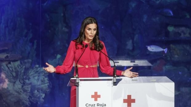 La Reina Letizia resalta la labor de Cruz Roja como «reflejo de todo lo bueno que ofrece un ser humano»