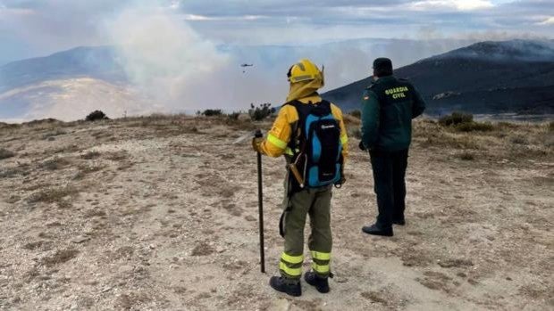 La Guardia Civil coge 'in fraganti' en Zamora al presunto autor de un delito de incendio forestal