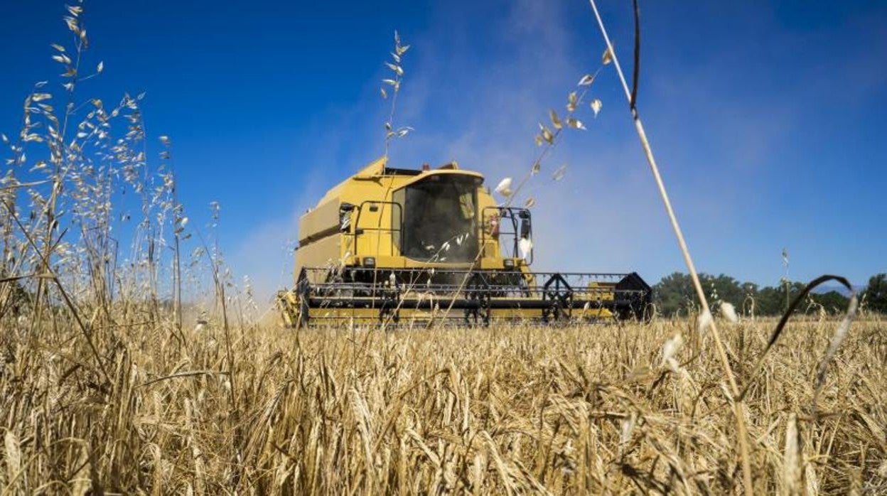 Cosecha de cereal