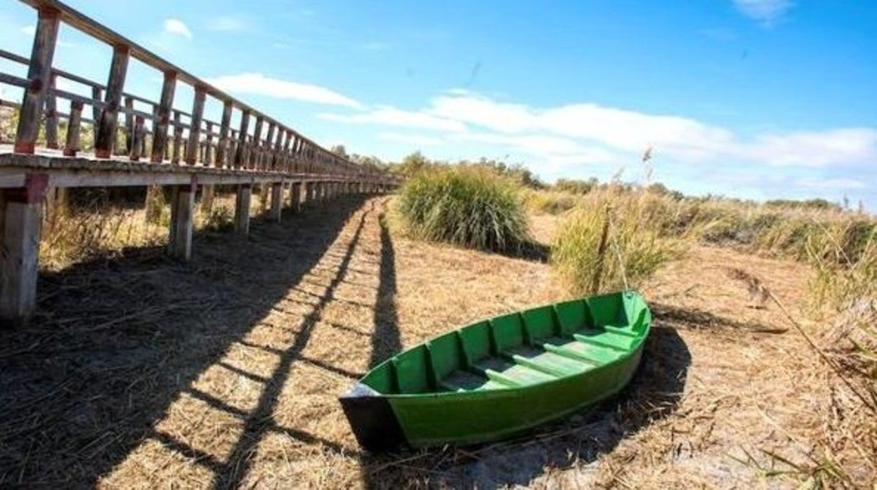 Imagen de archivo de las Tabalas de Daimiel, donde la escasez de agua es evidente