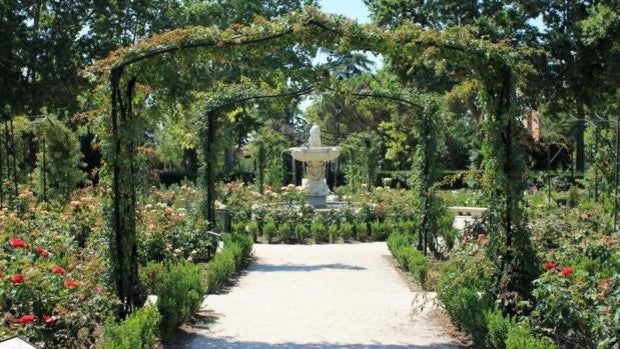 Las primeras rosas de la Rosaleda del Retiro vuelan cada año hasta México