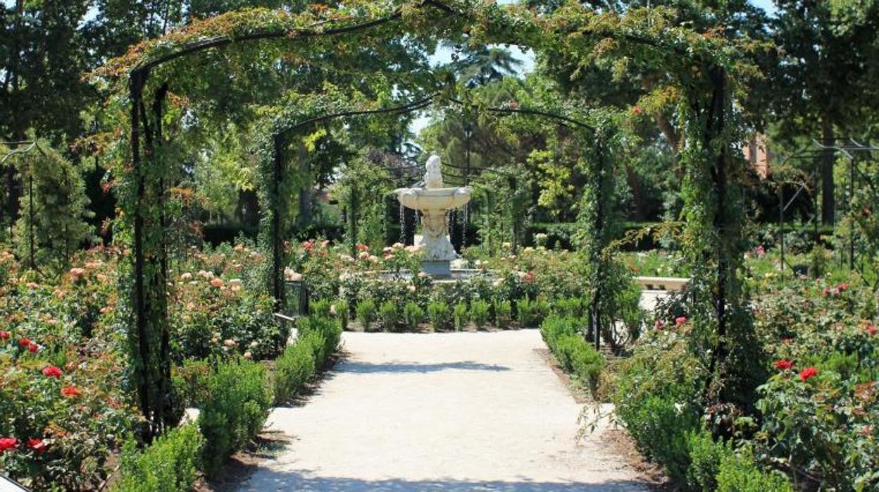 Imagen de la Rosaleda de El Retiro