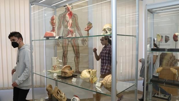 Las joyas didácticas del Jorge Manrique