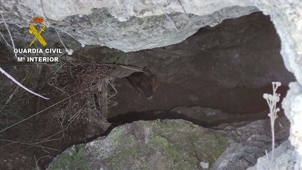 Rescatada una perra que había caído a una grieta de seis metros de profundidad en unas trincheras de la Guerra Civil en Seseña