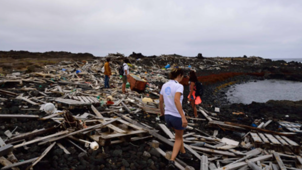 Alegranza: La isla canaria desierta y paradisíaca que pasó a ser basurero de tres continentes