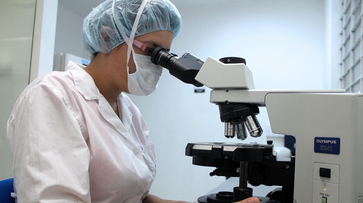 Una técnico revisa unas muestras al microscopio