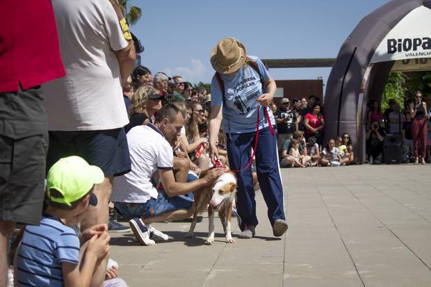 El desfile de perros de AUPA y Bioparc reúne a cientos de personas comprometidas con el bienestar animal