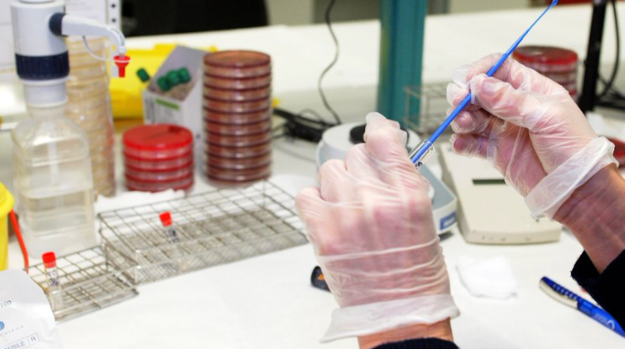 Trabajo de muestras en un laboratorio en foto de archivo