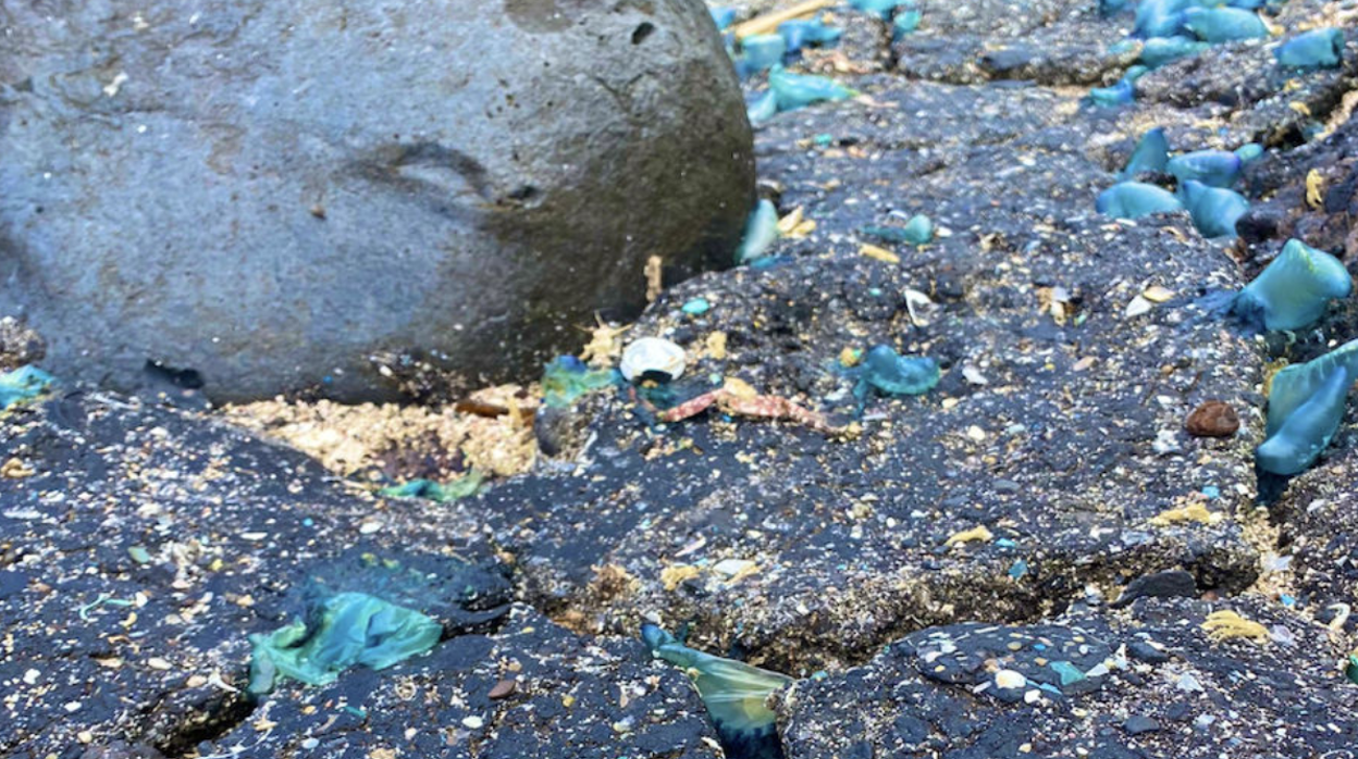 Plastitar en Arenas Blancas, El Hierro