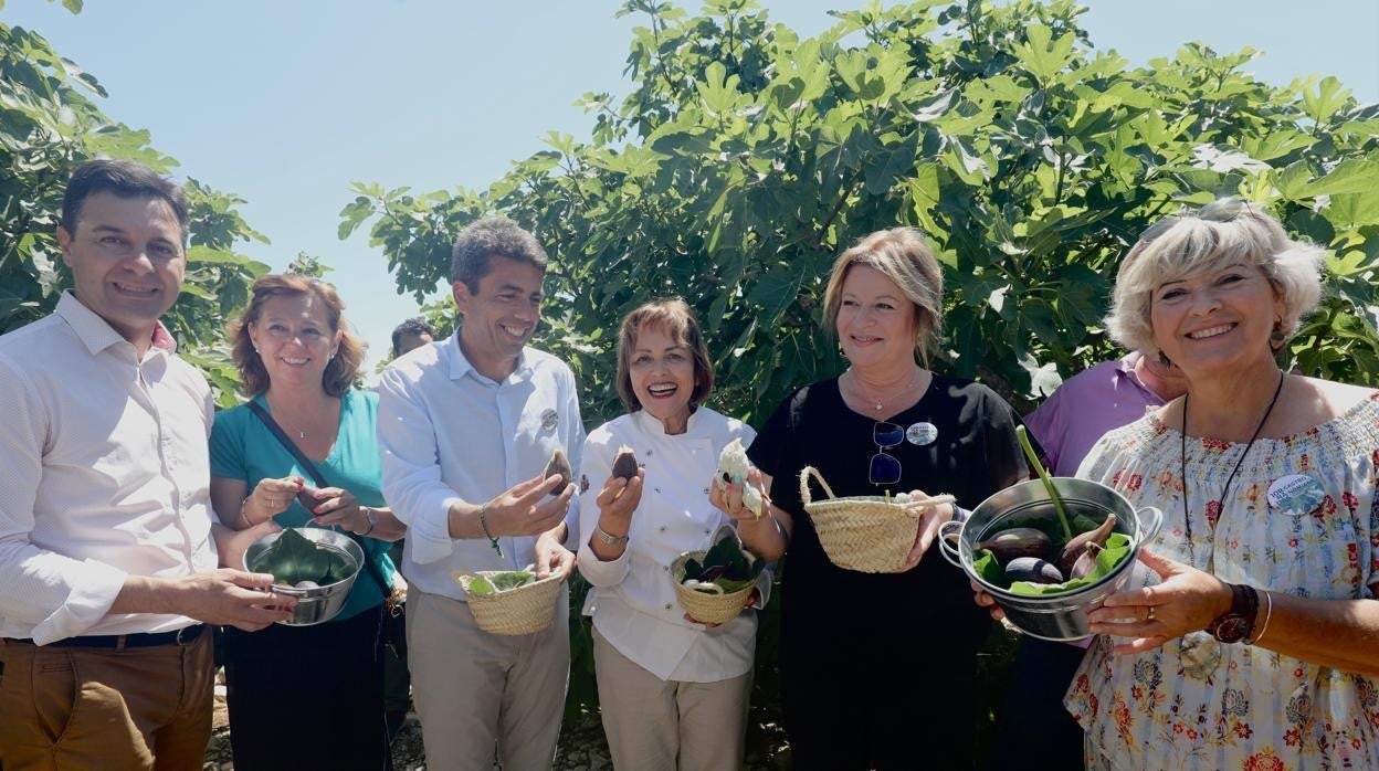 El presidente de la Diputación de Alicante, Carlos Mazón, participa en el corte simbólico de la primera Breva de Albatera