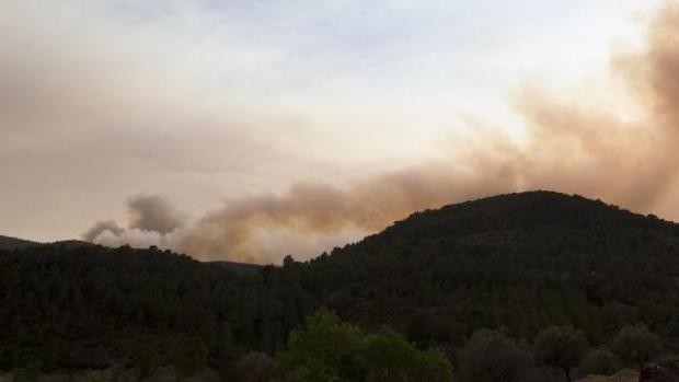 Declarado un incendio forestal en la localidad valenciana de Tuéjar