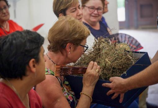 Una mujer invidente capta el aroma del tomillo y el romero del Corpus