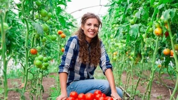 Solo una de cada cuatro explotaciones agrícolas españoles tienen una mujer al frente