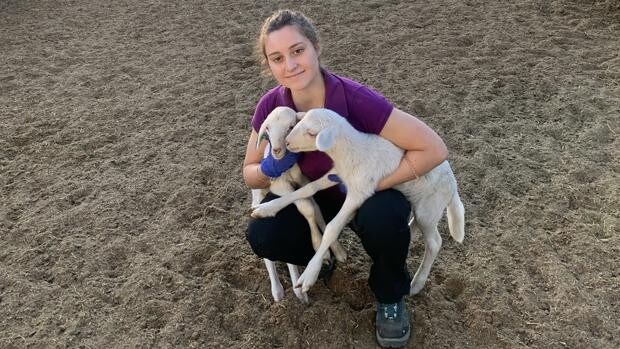 Laura, la joven de Ciudad Real que rompe clichés esquilando ovejas en un oficio masculino