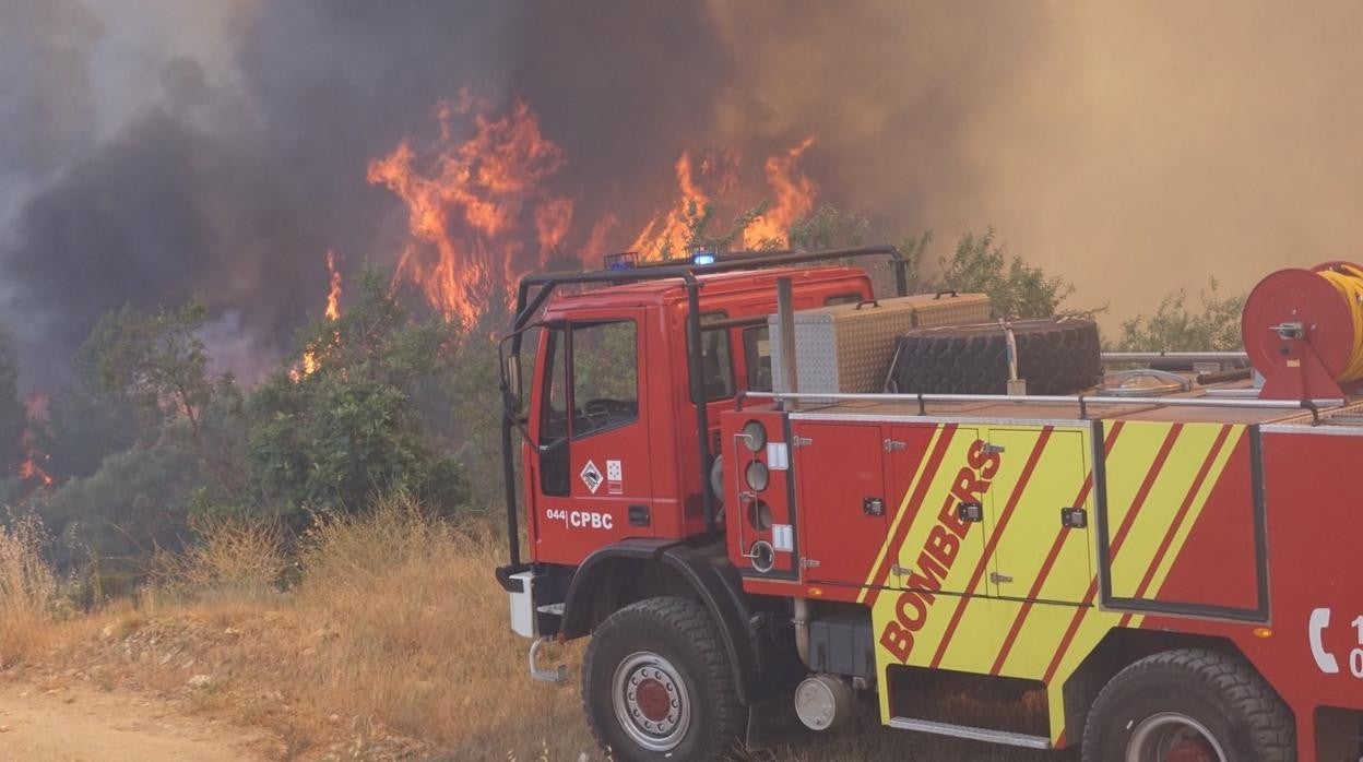 Imagen del incendio declarado este viernes en Viver y Caudiel (Castellón)