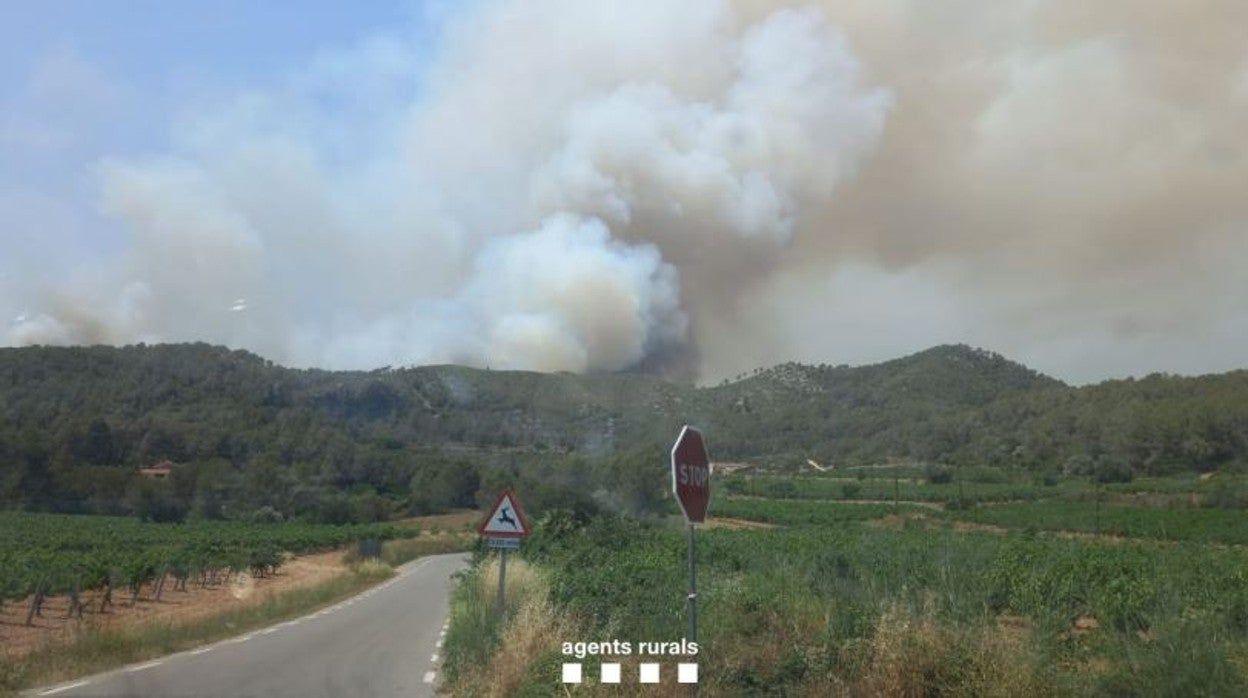 El fuego afecta a un paraje natural protegido del Garraf