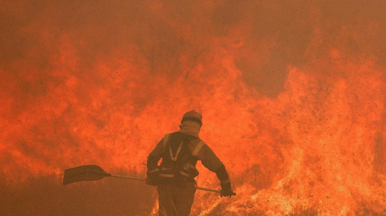 Un bombero lucha contra las llamas en Pumarejo de Tera, Zamora