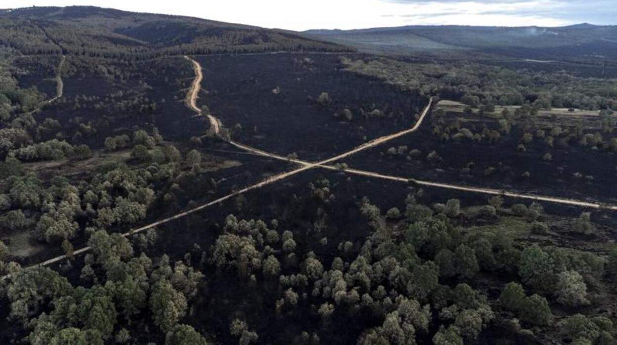 Una persona contempla el efecto del incendio de la Sierra de la Culebra, que ya ha arrasado más de 30.000 hectáreas