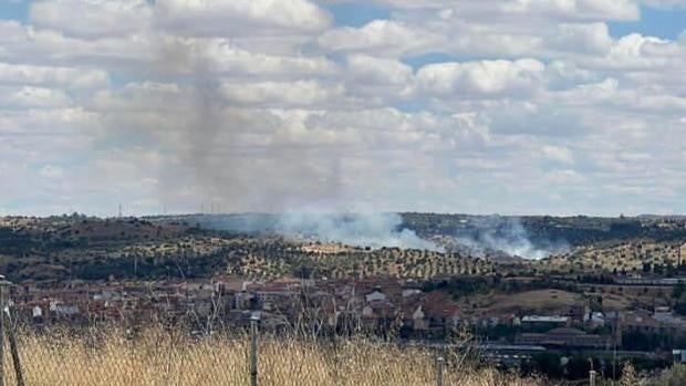 Controlado el incendio forestal en los terrenos de la Academia de Infantería de Toledo