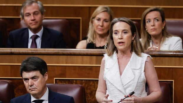 El PP buscará una nueva fractura del Gobierno en plena cumbre de la OTAN