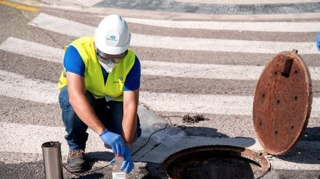 Un operario recoge una muestra de agua residual de Valencia para detectar la presencia de coronavirus