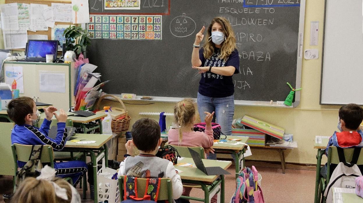 Estos profesionales desarrollan su labor con niños con discapacidad intelectual, física y sensorial, o autismo