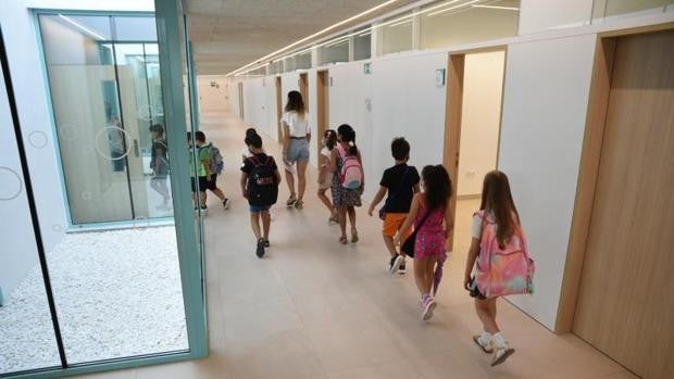 Alicante exige a la Generalitat Valenciana la retirada urgente del amianto en tres colegios