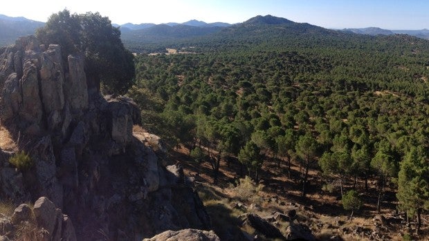 Encuentran en Ávila el cuerpo de una mujer desaparecida en Madrid hace 19 años