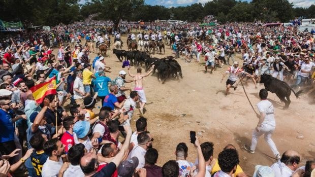 Dos heridos por asta de toro y uno por la coz de un caballo durante la fiesta de La Saca en Soria