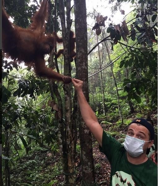 La imagen que ha enfadado al gobierno indonesio