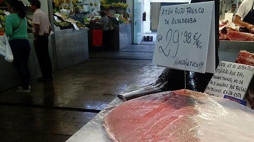 La temporada de atún rojo fresco puede prolongarse hasta casi final de año gracias a las almadrabas portuguesas.