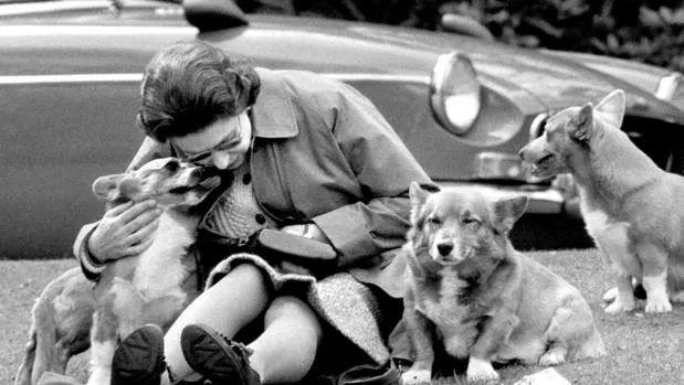Isabel II junto a sus perros
