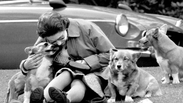 Isabel II junto a sus perros