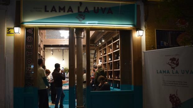 Así es Lama La Uva, la primera vinoteca con historia que abre en Sevilla