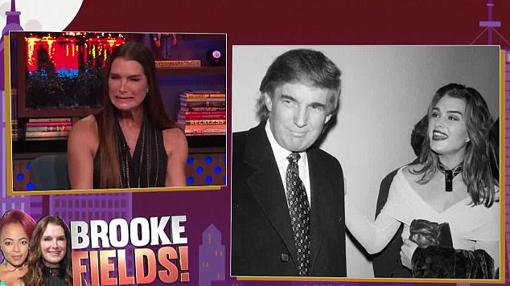 El día que Brooke Shields rechazó una cita con Donald Trump