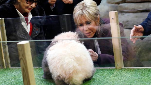 Brigitte Macron bautiza a un panda chino en su primer discurso oficial