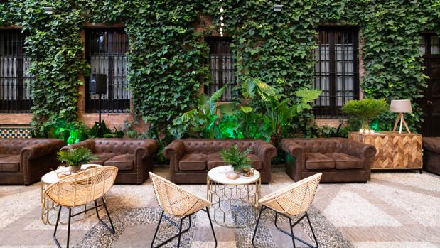 Mister Wils, la decoración y el verano que ya llega