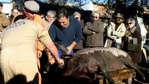 La matanza, todo un rito gastronómico en El Real de la Jara