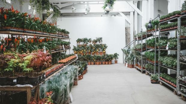 ¿Amante de las plantas? Descubre este jardín efímero en Sevilla