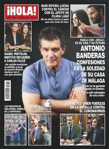 Antonio Banderas: sin Nicole Kimpel y aislado en su casa de Málaga