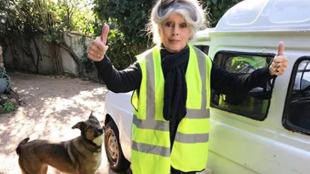 Brigitte Bardot pide por su cumpleaños que se mejore el trato de los animales